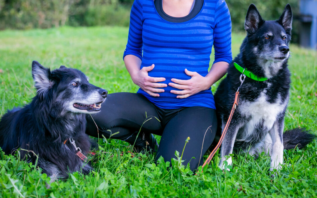 Protegido: «Tarde de otoño en Oiangu» – Sesión de maternidad en Ordizia (Gipuzkoa)